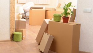 About Leo Express Movers and Packers Pune